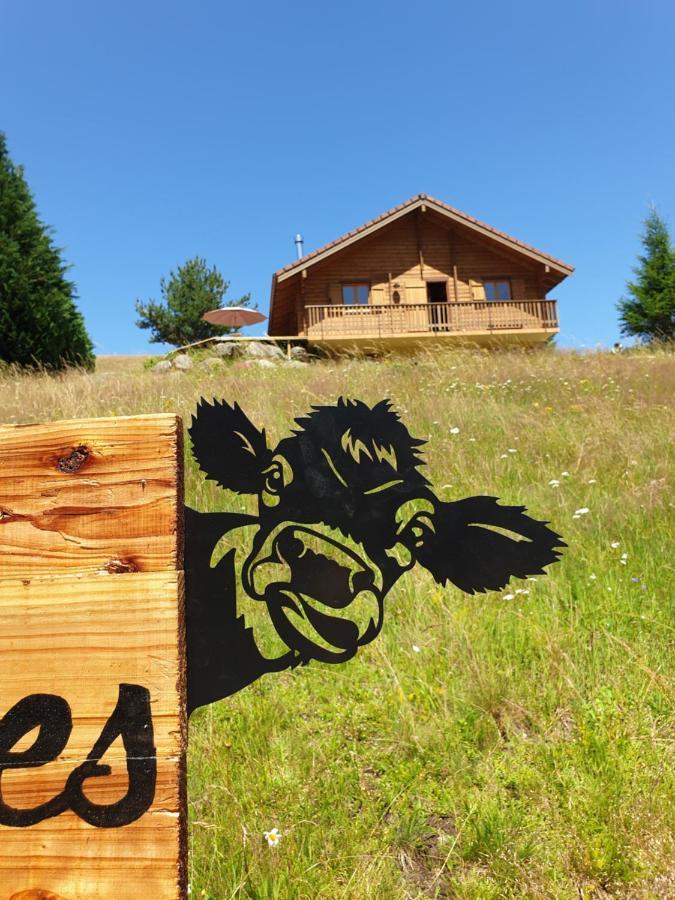 לה ולטה Chalet Les Vosgiennes מראה חיצוני תמונה